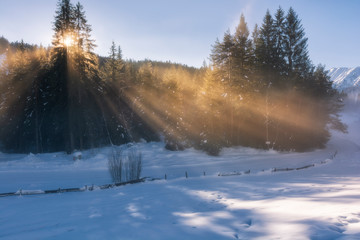 the sun's rays penetrate the branches of trees and fog in the snowy tyrol