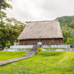Fototapeta na wymiar Traditional authentic fijian Bure, wood-and-straw thatched walls and roof hut. Levuka town, Ovalau island, Lomaiviti archipelago, Fiji, Melanesia, Oceania, South Pacific Ocean