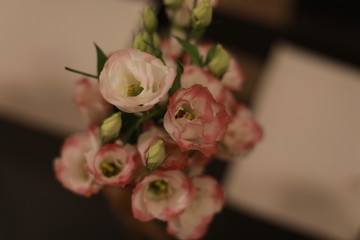 Bouquet with white and pink flowers