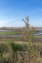 Landscape with river