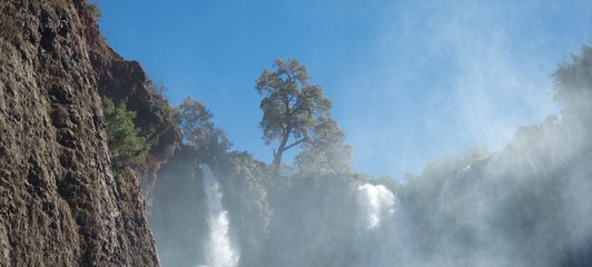 Beautiful tree on skyline above foaming waterfalls