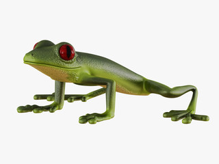 Green frog side view on white background 3d rendering