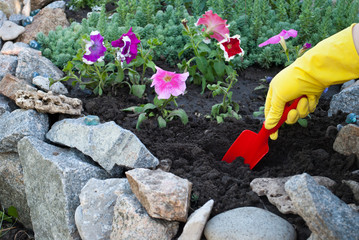 Red plastic spatula in the hands in yellow rubber gloves, spring work on the ground soil,...