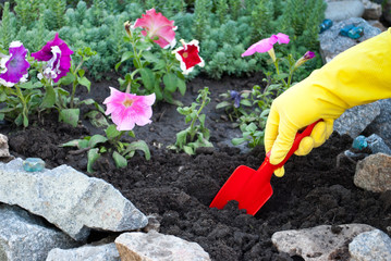 Red plastic spatula in the hands in yellow rubber gloves, spring work on the ground soil,...