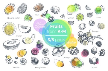 Fruits hand drawn icons set. Fresh organic food