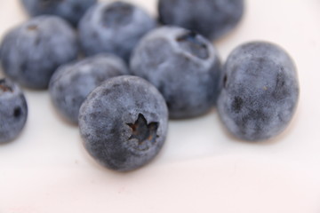 blueberries isolated on white background