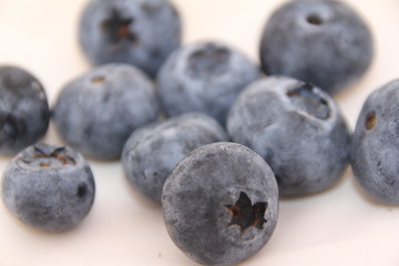 blueberries isolated on white background