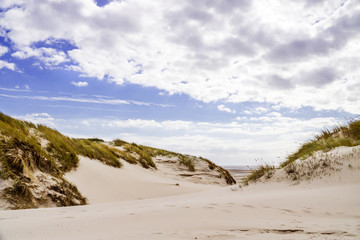 Dunes landscape with cloudy sky in Amrum Germany.
