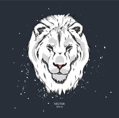Portrait of a lion. Can be used for printing on T-shirts, flyers and stuff. Vector illustration