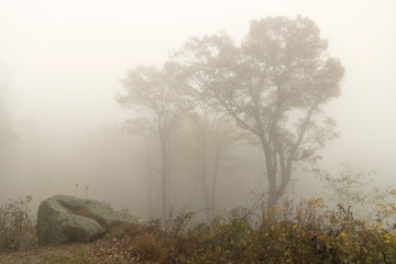 Morning fog along Blue Ridge Parkway;  Virginia