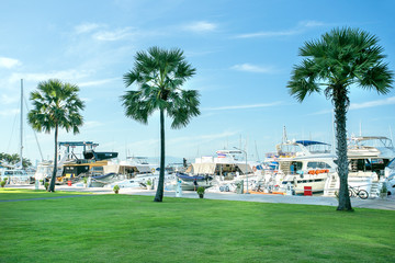 Marina Boats, yachts docked in sea port. Luxury yachts.