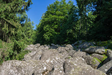 Stone River, Golden Bridges