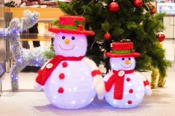 two friends of pineapple in glasses and Christmas hat on white sand overlooking the sea