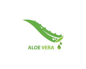 Aloe vera logo vector
