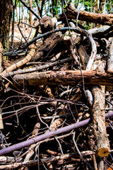 Stack of wood