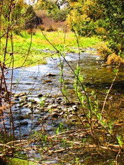 Ancoa River, Linares, Chile. Contemplate the nature. Relax