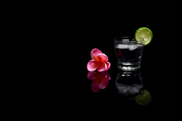 Fresh Cocktail Drinks