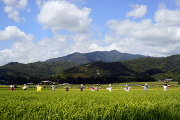 Fototapeta na wymiar Scarecrows of the rice field-1
