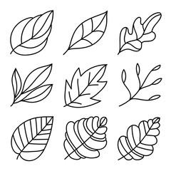 Leaves icon set. leaves logo design and  natural style symbol vector.