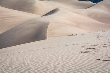 Great Sand Dunes National Park Colorado Sand Texture Foot Prints