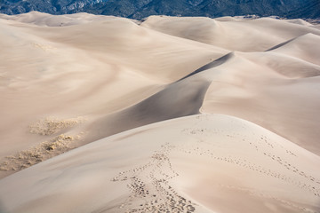 Great Sand Dunes National Park Colorado Sand Texture Foot Prints