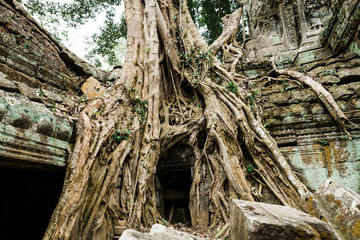 Temple Ruins of Siem Reap Cambodia