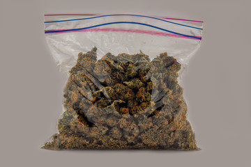 A zip top sandwich bag filled with Cheese OG marijuana buds isolated with a white background.