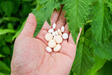 pills and medicines in the hand nature green leaf herb extract natural