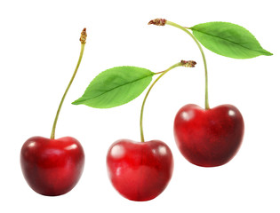 Bright macro photo of isolated a few red sweet cherries