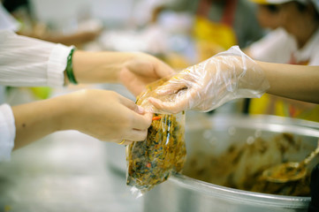 The concept of begging food : donating food is helping human friends in society