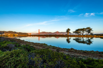 Early Morning from the Crissy Field Marsh 