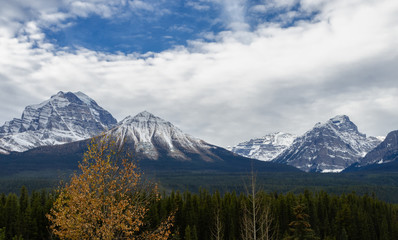 Obraz premium Mount Temple in winter, Alberta, Canada