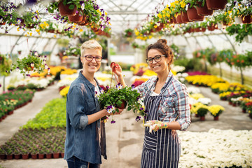 Happy female florist dressed in apron giving flowers to the customer while standing in green house.