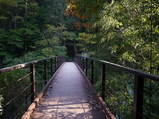 橋