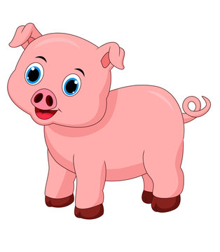 Cute pig cartoon isolated on white background 