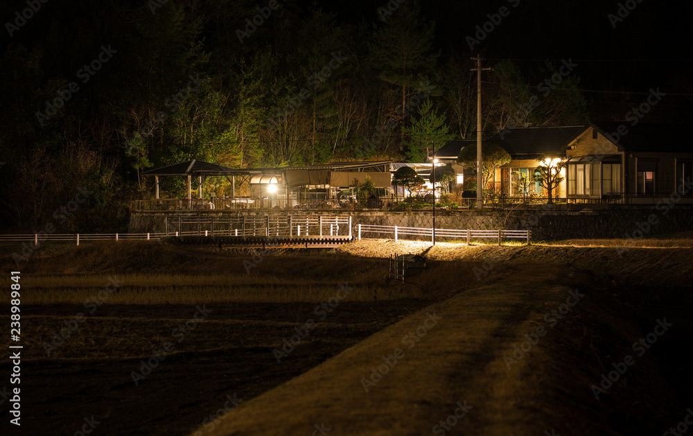 Wall mural country farmer's house on edge of woods next to rice fields at night