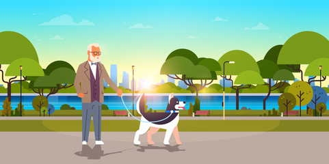 senior man walking with husky dog urban city park background grandfather with his animal pet best friend concept horizontal flat
