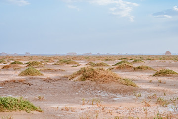 Yardang rocks in gobi desert in Dunhuang Yardang National Geopark, Gansu, China