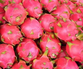 Obraz na płótnie Canvas pile dragon fruit texture background / dragon fruit for sale in the market Tropical fruit