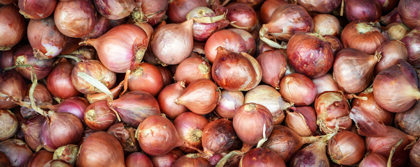 Shallots background texture , herb vegetable ingredient shallot onion