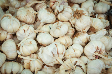 garlic pile texture background fresh garlic on market / spicy cooking ingredient garlic for thai food