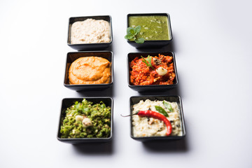 Group of Indian Chutneys includes coconut, Peanut, green and red chilly, garlic and pudina served in small square shape bowls. selective focus