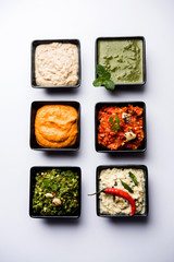 Group of Indian Chutneys includes coconut, Peanut, green and red chilly, garlic and pudina served in small square shape bowls. selective focus
