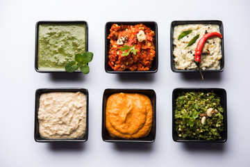 Group of Indian Chutneys includes coconut, Peanut, green and red chilly, garlic and pudina served in small square shape bowls. selective focus