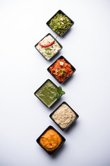 Group of Indian Chutneys includes coconut, Peanut, green and red chilly, garlic and pudina served in small square shape bowls. selective focus
