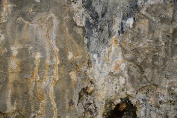 old cement brown and gray texture and background