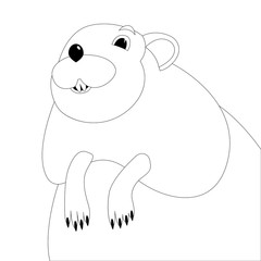 cartoon muskrat face, vector illustration ,  lining draw