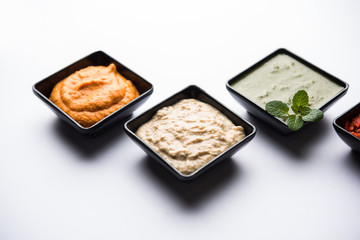 Group of Indian Chutneys includes coconut, Peanut, green and red chilly, garlic and pudina served in small square shape bowls. selective focus