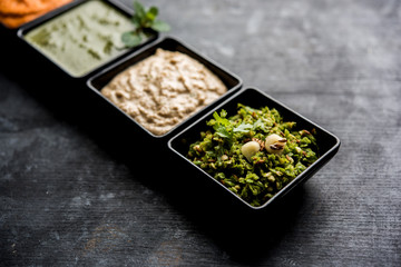 Group of Indian Chutneys includes coconut, Peanut, green and red chilly, garlic and pudina served in small square shape bowls. selective focus