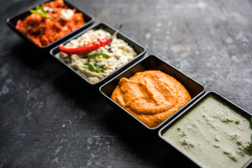 Group of Indian Chutneys includes coconut, Peanut, green and red chilly, garlic and pudina served in small square shape bowls. selective focus